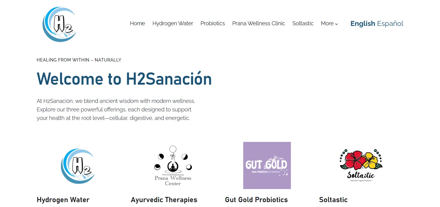 The current H2 Sanación homepage showing its navigation and the identities of H2 hydrogen water, Prana Wellness Clinic, Gut Gold and Soltastic